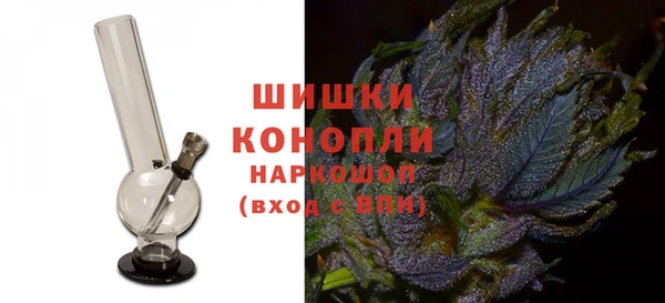 индика Баксан