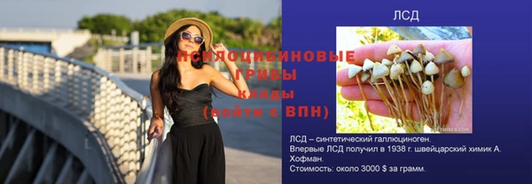 гашик Балабаново