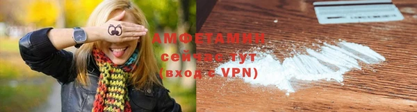 индика Баксан