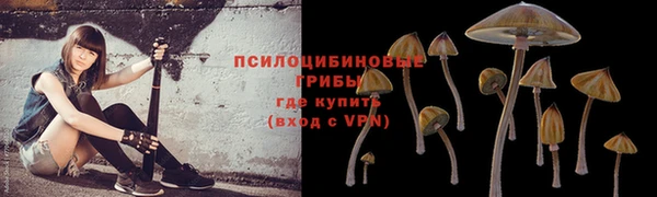 гашик Балабаново