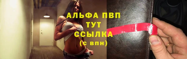 индика Баксан