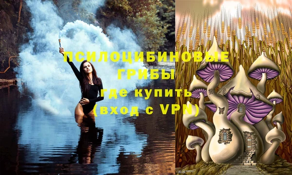 гашик Балабаново