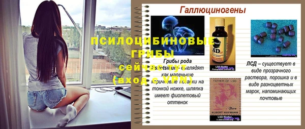 индика Баксан