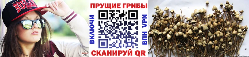 Псилоцибиновые грибы мухоморы  МЕГА вход  Нариманов 